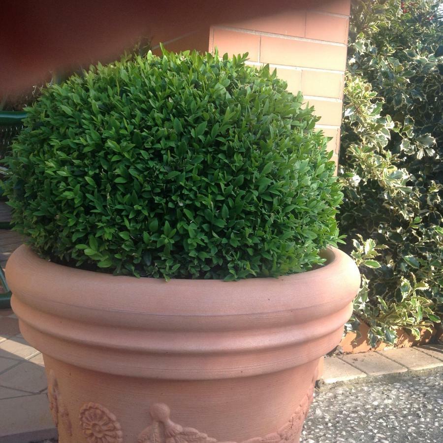 Casale El Galet Apartment Moniga del Garda Bagian luar foto
